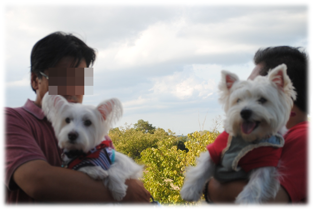 b0242873_14314043.png