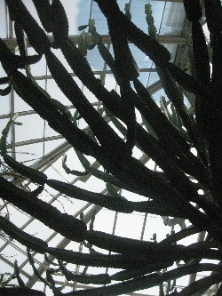 f0056476_0431557.jpg