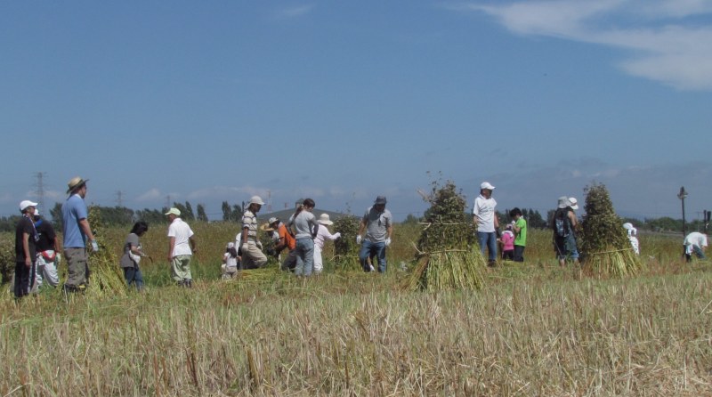 c0183777_13344380.jpg