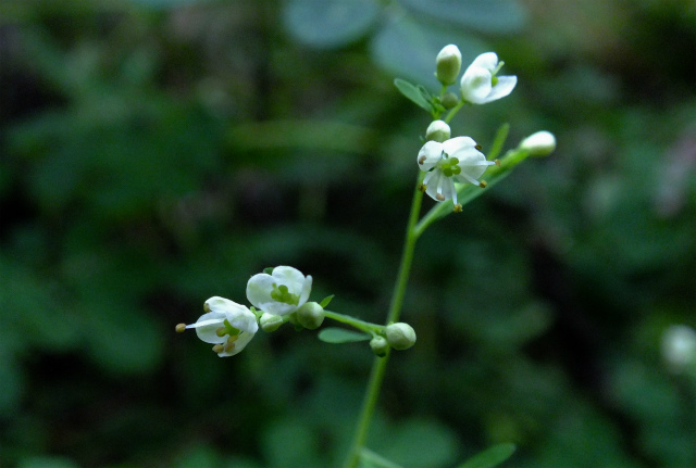 d0245378_1919180.jpg