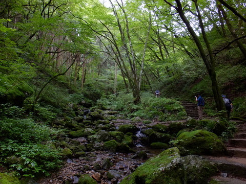 a0043982_1550370.jpg