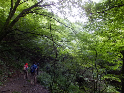 a0043982_1551377.jpg