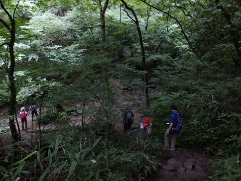 a0043982_15515392.jpg