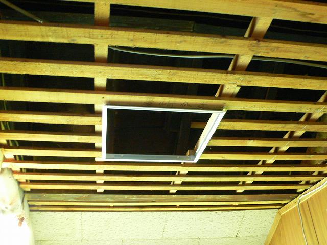 b0042882_2310411.jpg