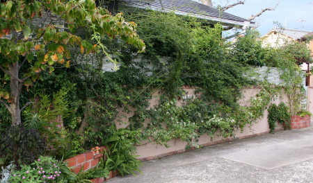 e0154682_22441084.jpg