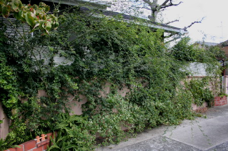e0154682_22473633.jpg