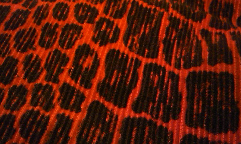 c0078587_14463967.jpg