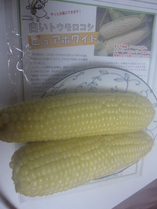 a0237391_9145534.jpg