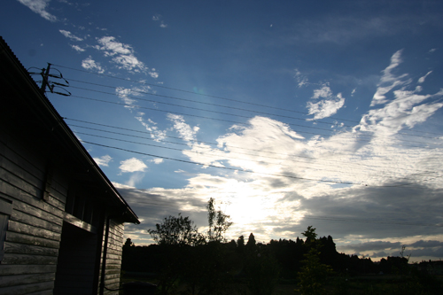 d0100095_21543579.jpg