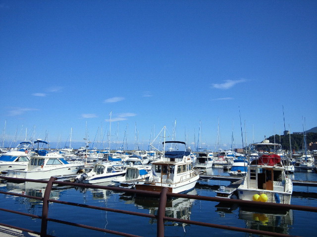 f0200795_15143569.jpg