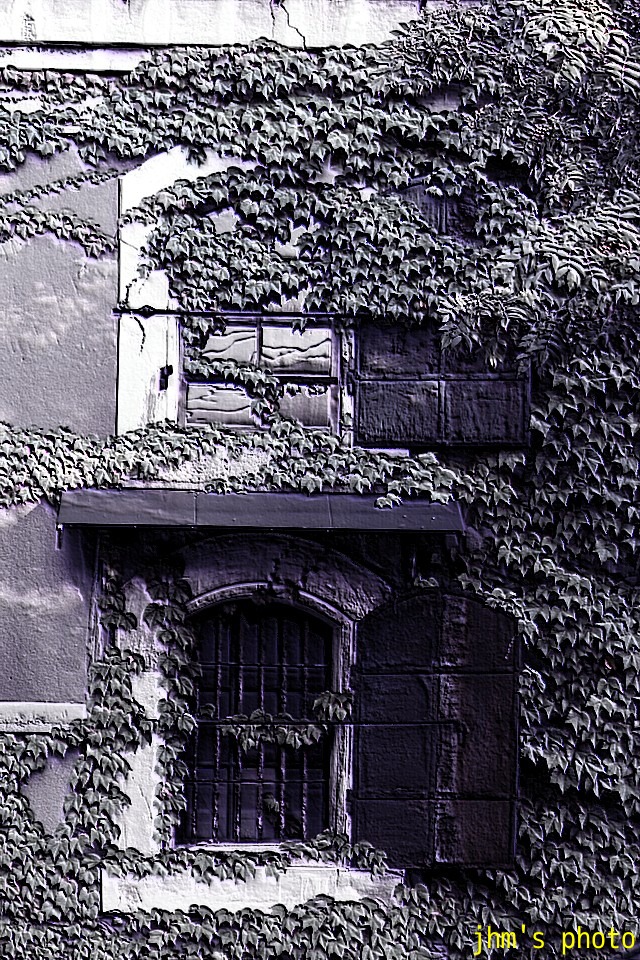a0158797_1543042.jpg
