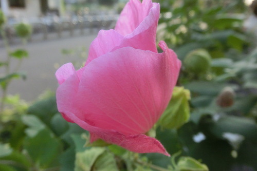f0153998_2233985.jpg
