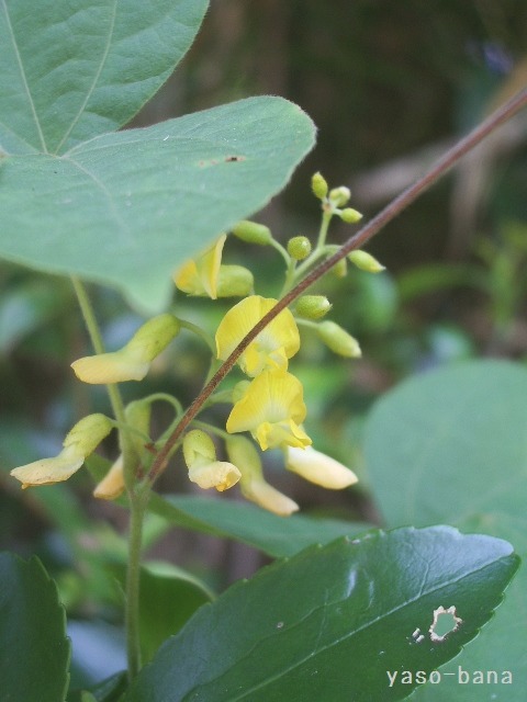 e0025300_1203247.jpg