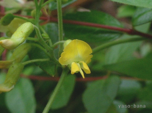 e0025300_1275963.jpg