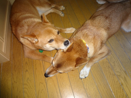 e0292102_14414729.jpg