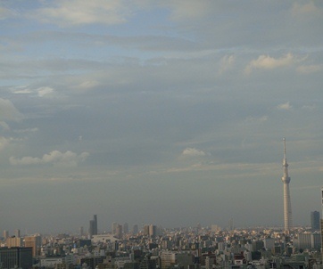 a0167803_647594.jpg