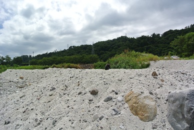 a0134004_22122241.jpg