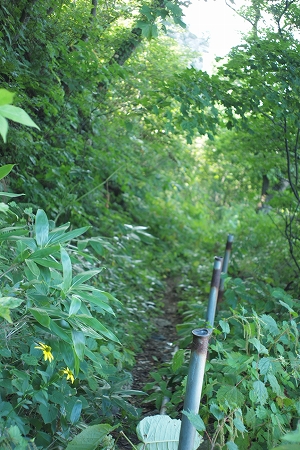 c0202705_211477.jpg