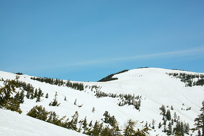 a0148606_2304288.jpg