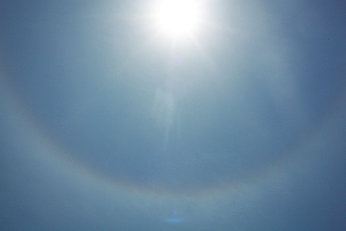 a0148606_23103989.jpg