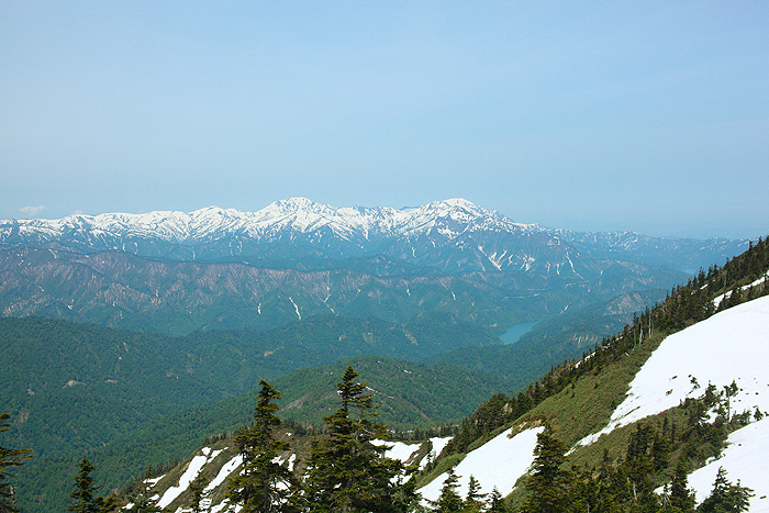 a0148606_2313220.jpg