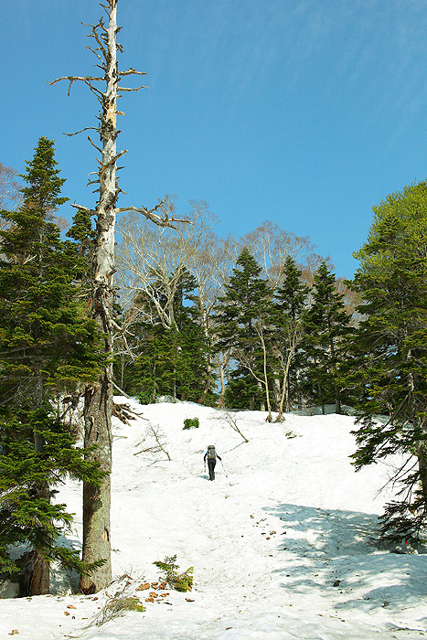 a0148606_2324040.jpg