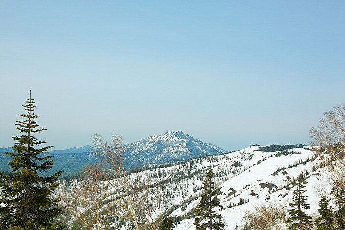 a0148606_2362859.jpg
