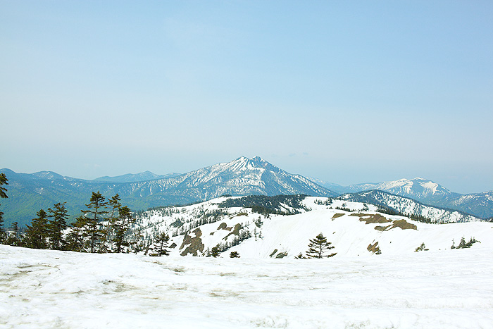 a0148606_2383489.jpg