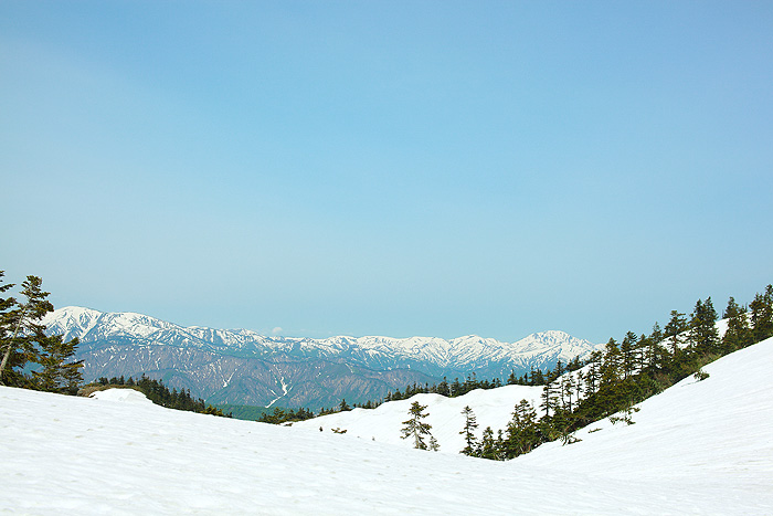 a0148606_239052.jpg