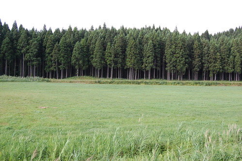 a0112812_2253615.jpg