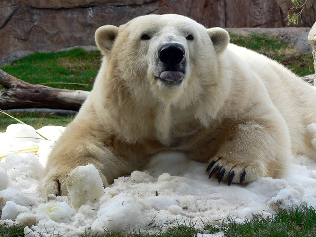 a0151913_1115342.jpg