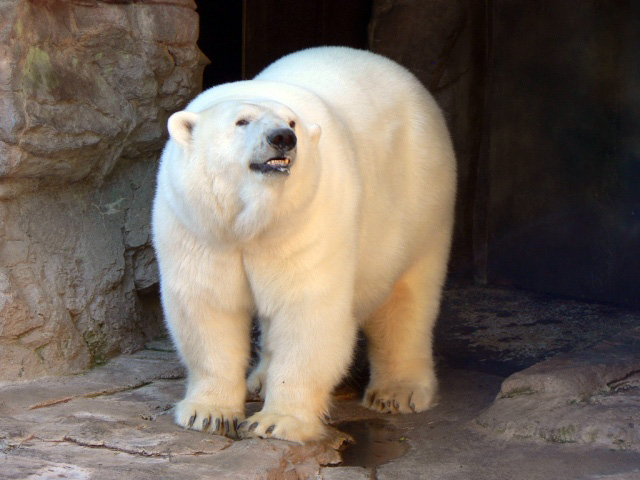 a0151913_1181047.jpg