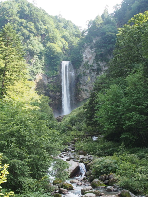 c0085622_17454392.jpg