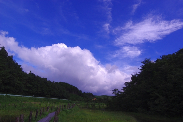 c0180824_8541313.jpg