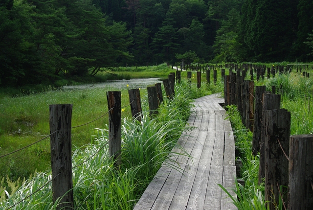 c0180824_8583031.jpg