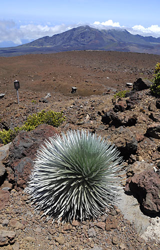 d0023725_16191071.jpg
