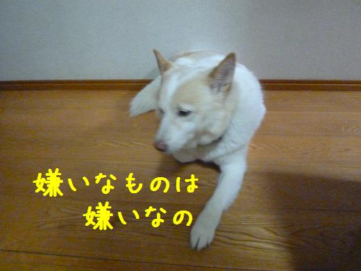 b0138430_1250367.jpg
