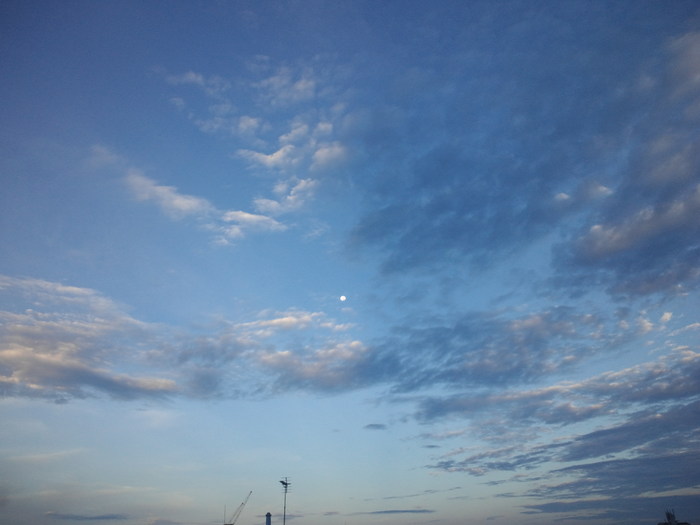 c0236632_05474.jpg