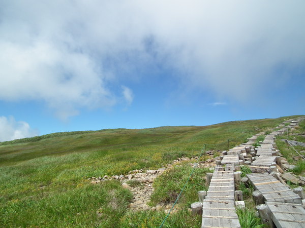 f0118332_1123929.jpg