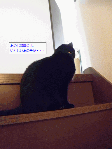 c0136736_20374217.gif