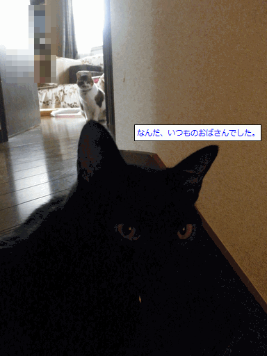 c0136736_20375796.gif