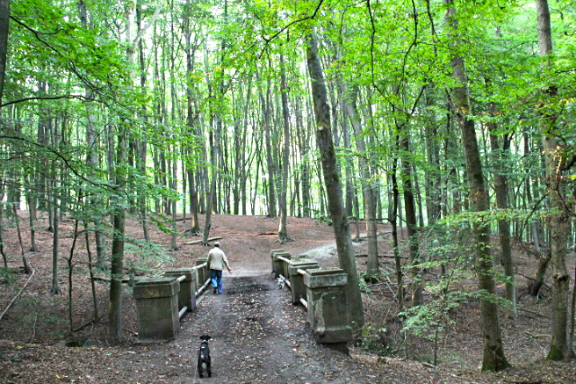 c0153740_344499.jpg