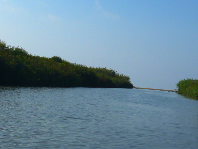 d0170140_2257142.jpg
