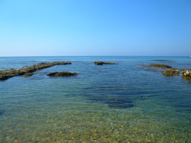 d0170140_2334350.jpg