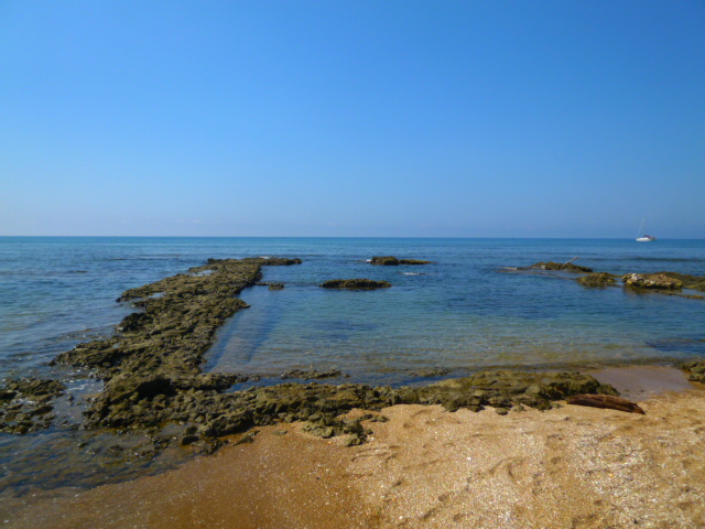 d0170140_2352393.jpg