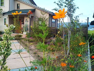 a0272241_1655255.jpg