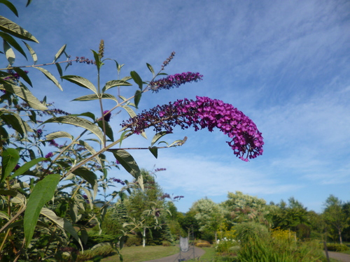 c0233141_1317380.jpg