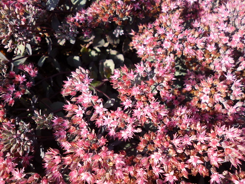 c0233141_13181399.jpg