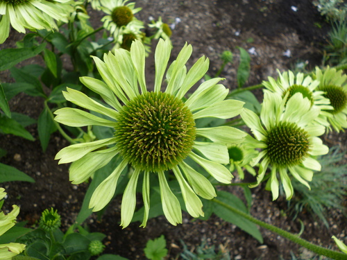 c0233141_13271820.jpg
