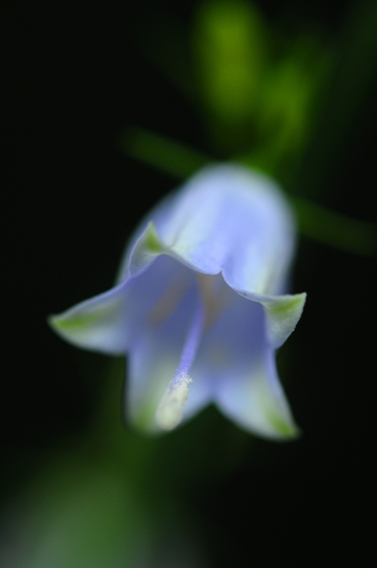 e0095142_2025927.jpg